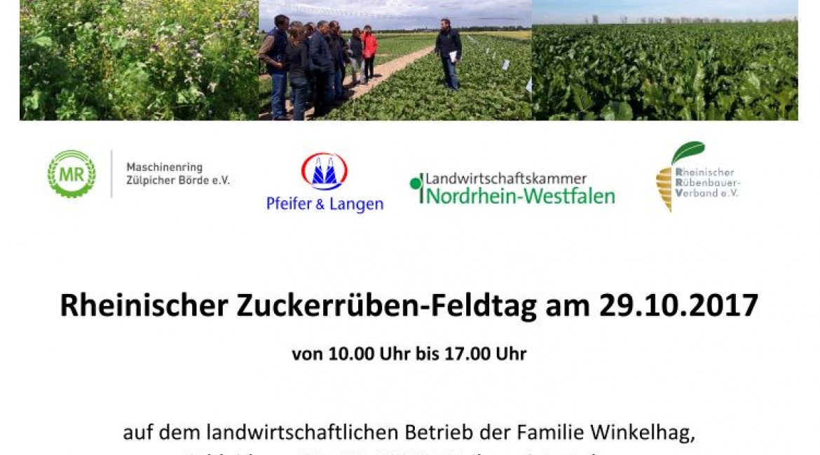 Feldtag Herbst Feldtag Herbst