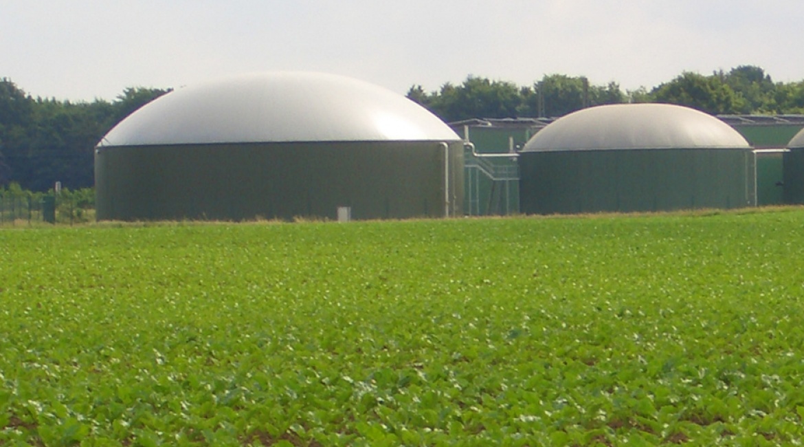 Baustein für die Zukunft: Biogas aus Rüben