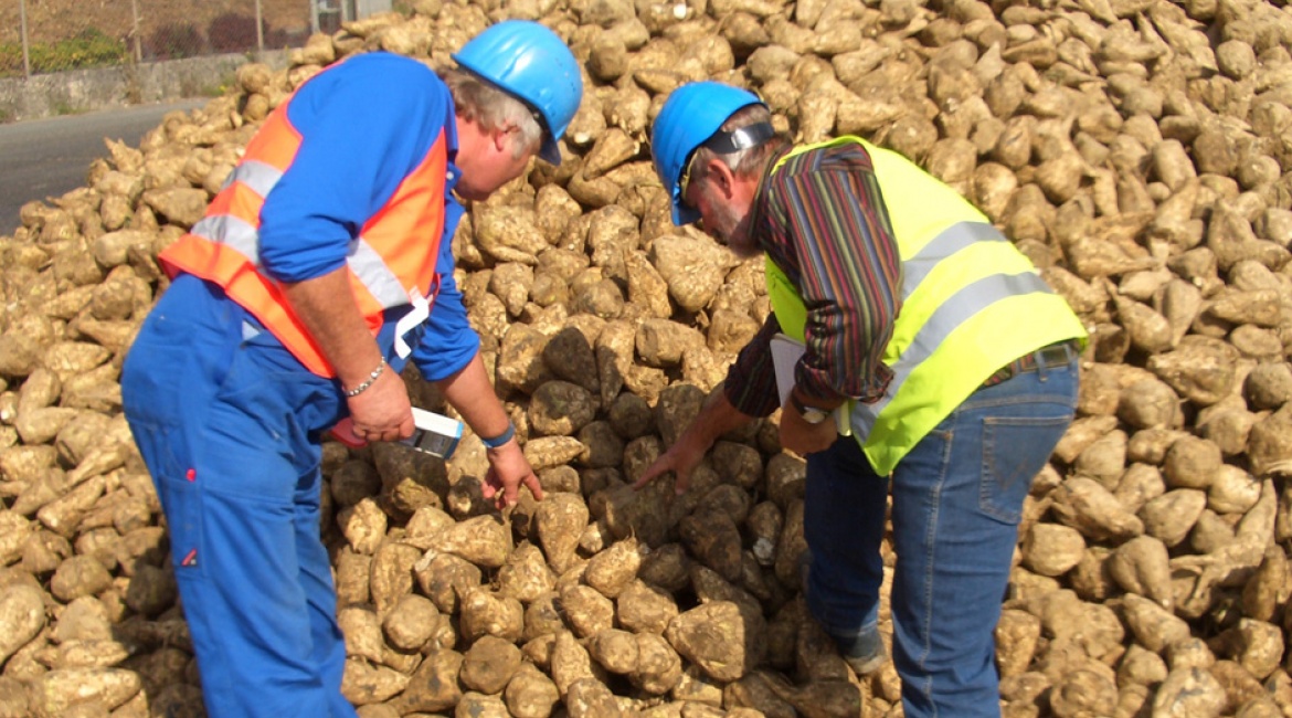 Gutachter bei der Arbeit