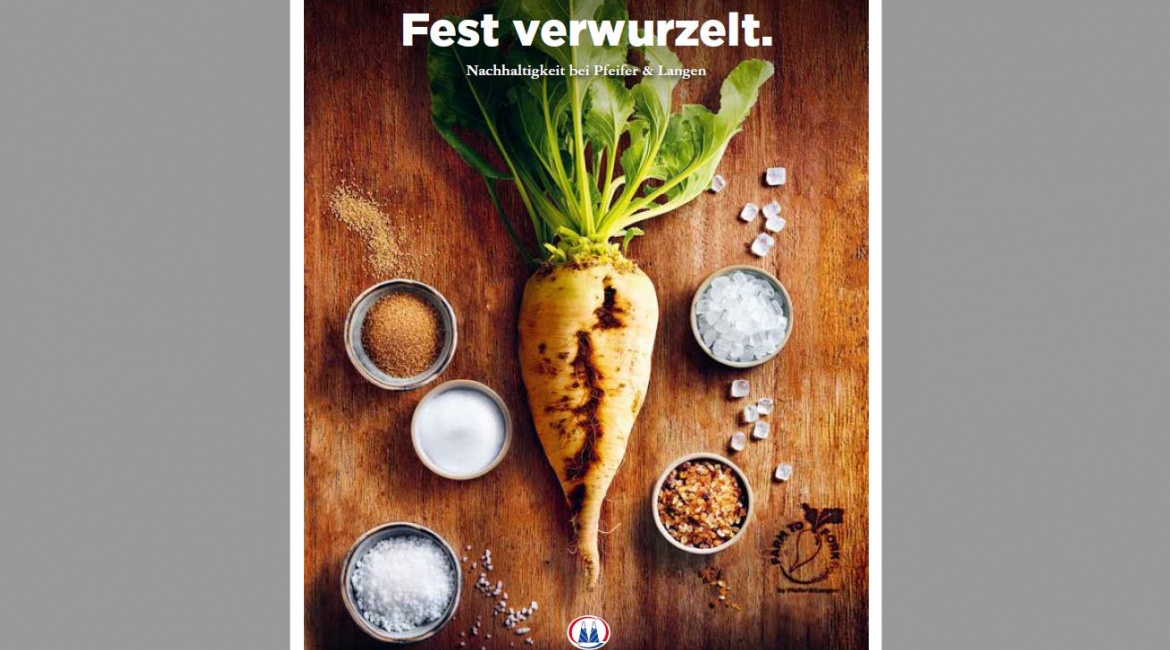 fest_verwurzelt.jpg