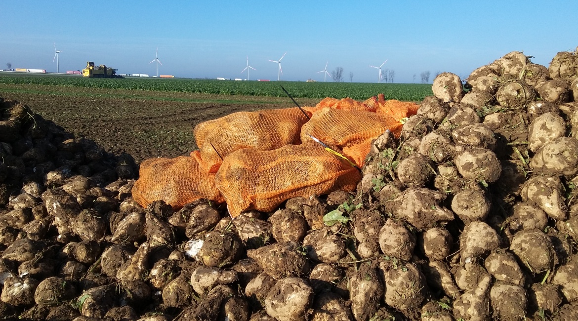 Biogasprojekt