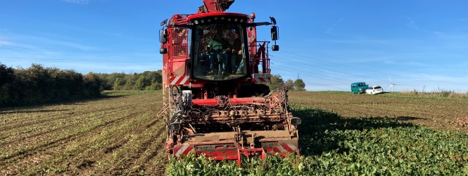 roden_eschweiler_oktober_2022_5.jpg